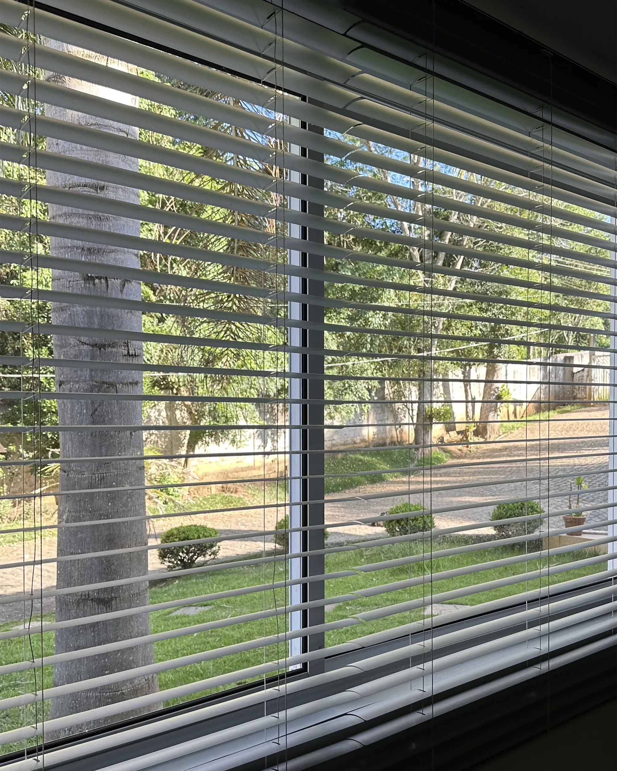 Vista externa filtrada por persiana horizontal de alumínio 50mm prata fosca com lâminas alinhadas.